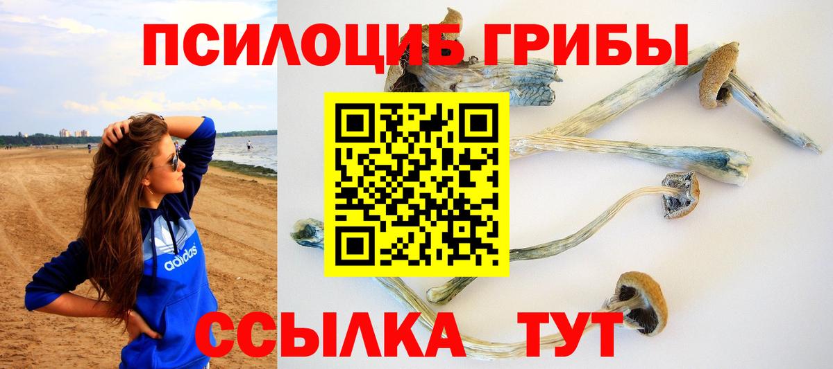 Псилоцибиновые грибы Magic Shrooms Куйбышев