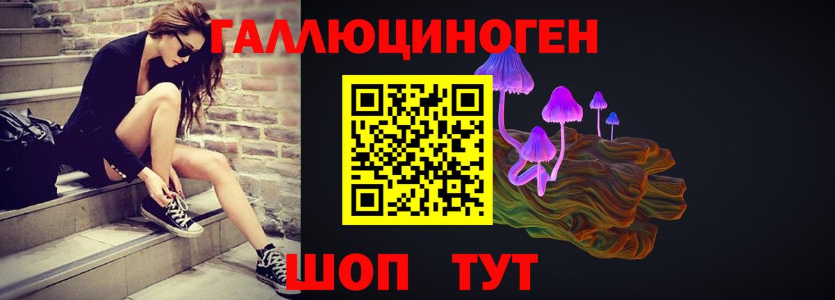 Куйбышев  Псилоцибиновые грибы ЛСД  даркнет сайт  Вход с VPN 