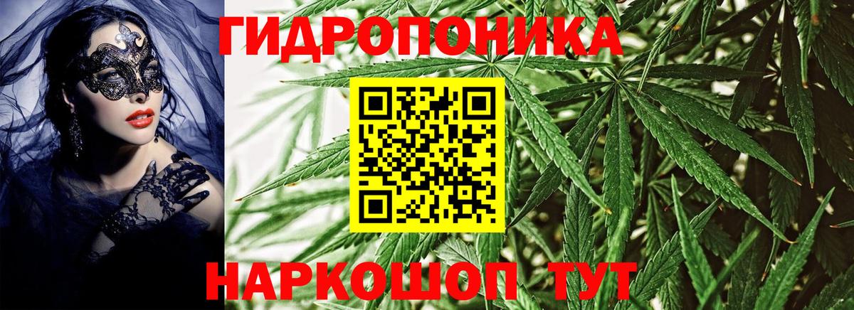 Шишки марихуана VHQ Куйбышев